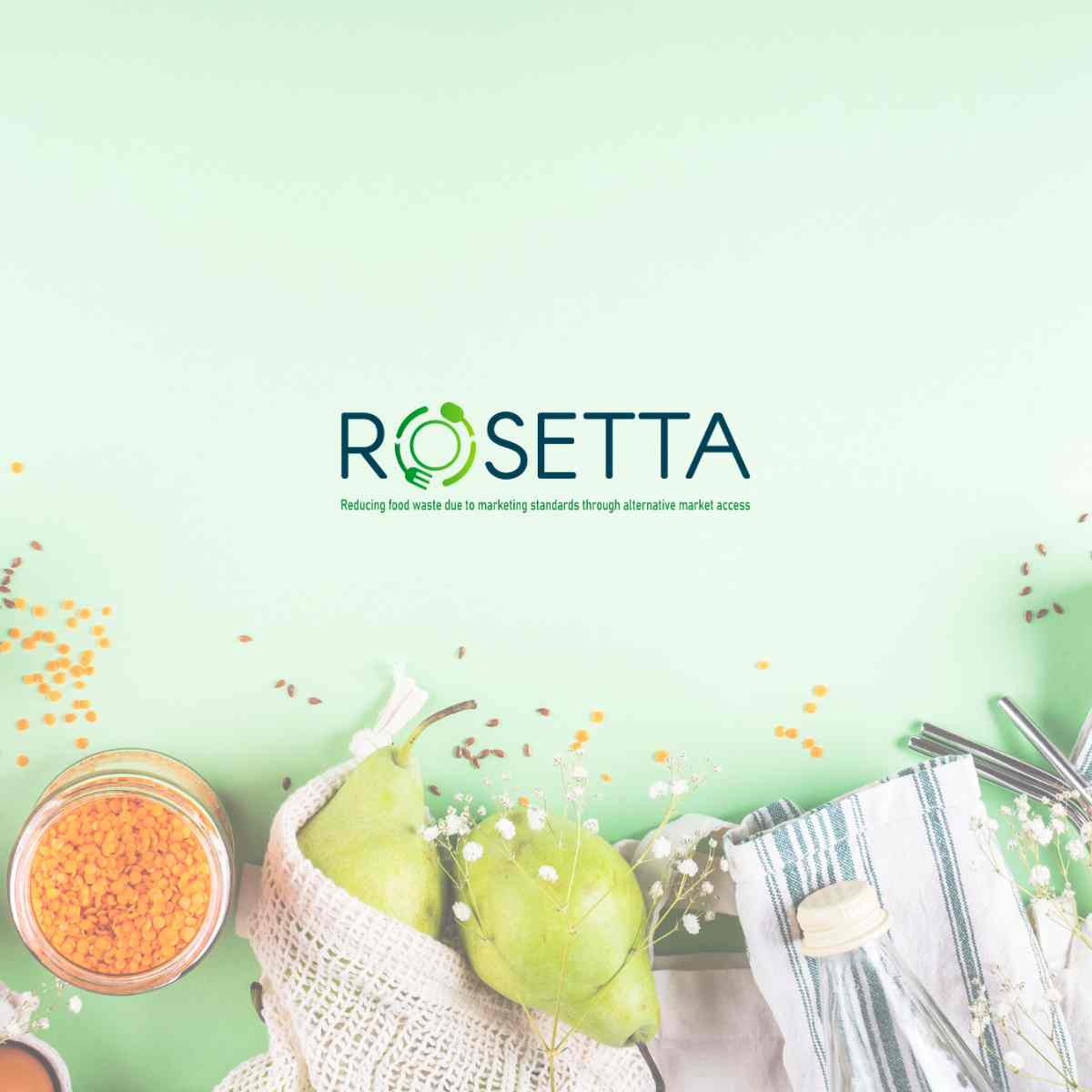 ROSETTA International Roundtables explore practical pathways for reducing food waste